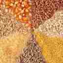 سبوس برنج فیروزجایی، انواع سبوس آردک، دوکوب کامپیوتری، سنتی در بابل