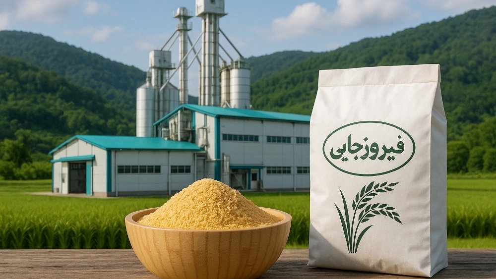 دوکوب کامپیوتری در بابل دوکوب کامپیوتری در بابل
